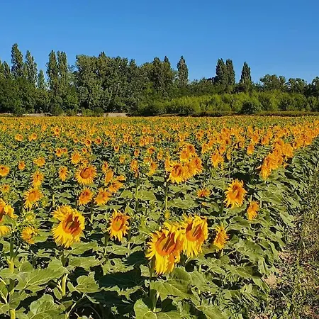 Holiday home L'ardeche En Provence Avec Jardin Ombrage