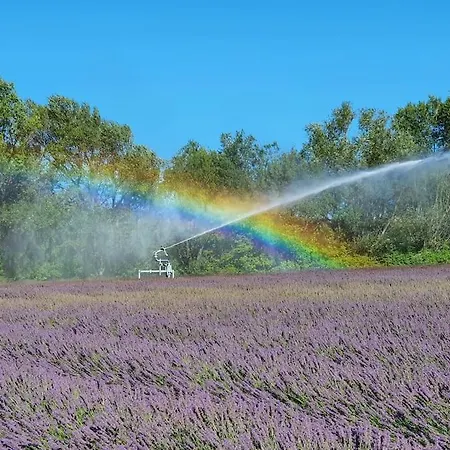 L'ardeche En Provence Avec Jardin Ombrage